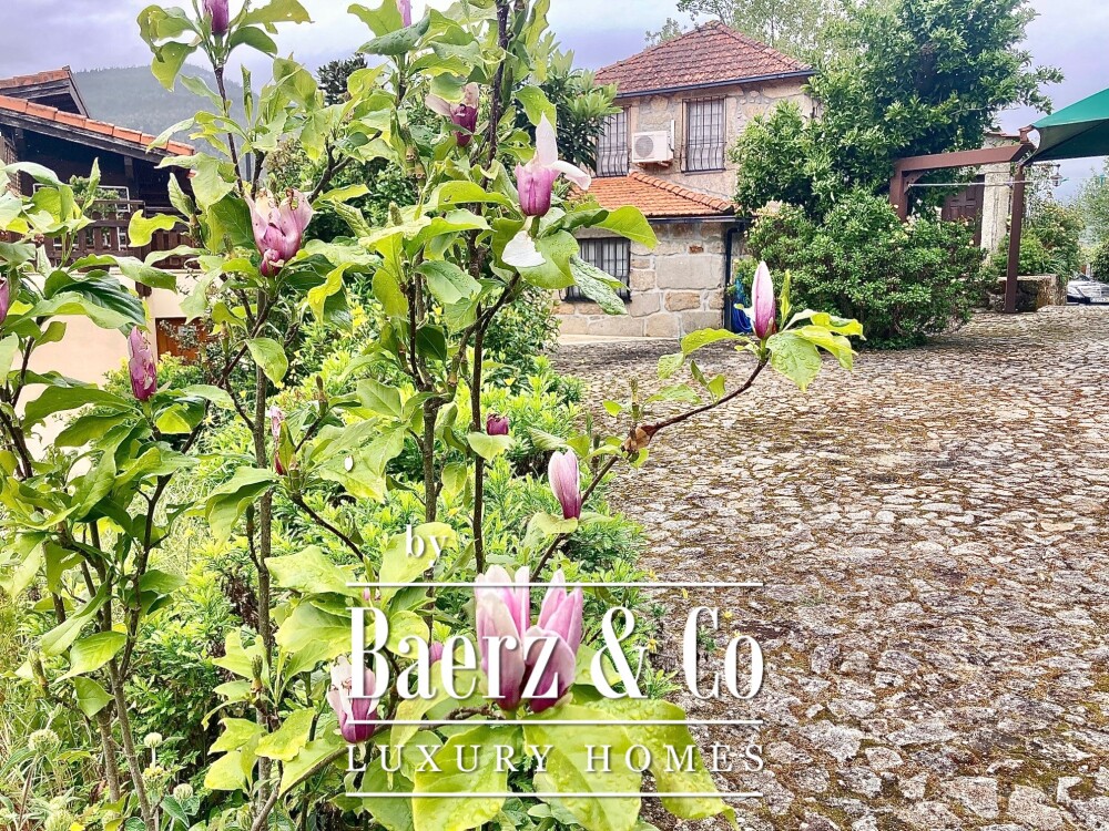 Foto 2 1000w