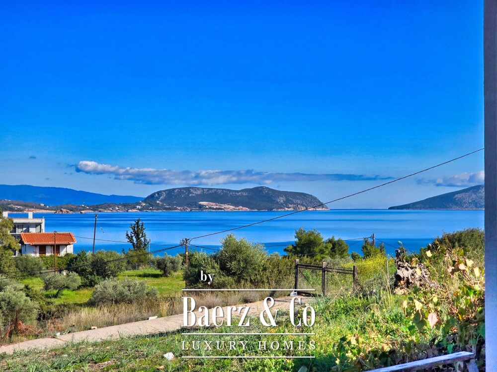 Foto 25 1000w