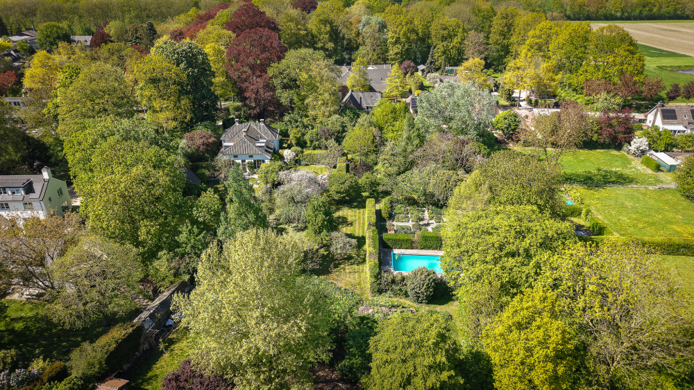 Foto 66 1000w