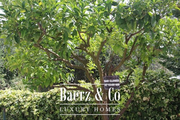 photo 18 Villa for sale 350 m²