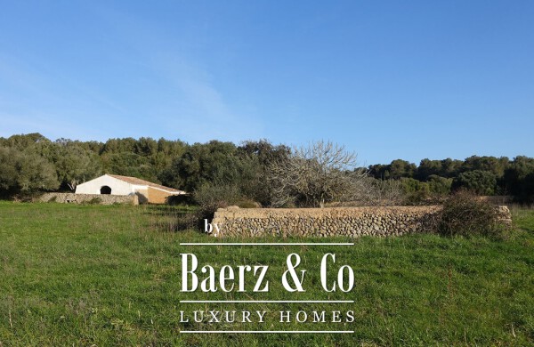 photo 21 MARVELLOUS RURAL ESTATE IN ALAIOR