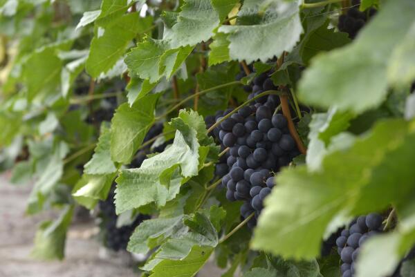 photo 47 Lange Meentweg 4