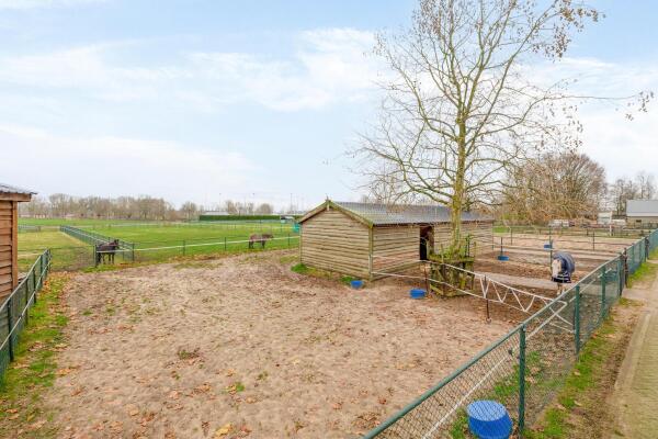 photo 39 Diepestraat 4