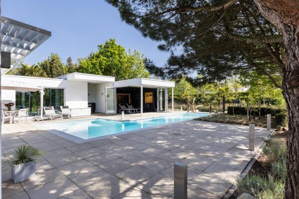 photo 17 Waterlelie 15