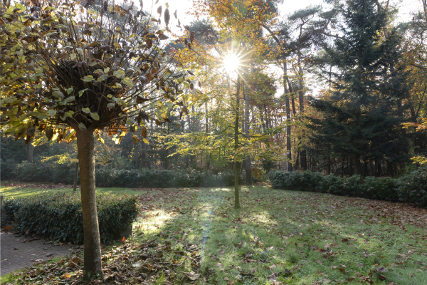 photo 34 Hondsbergselaan 3