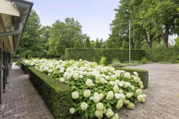 photo 68 Dennendijk 6