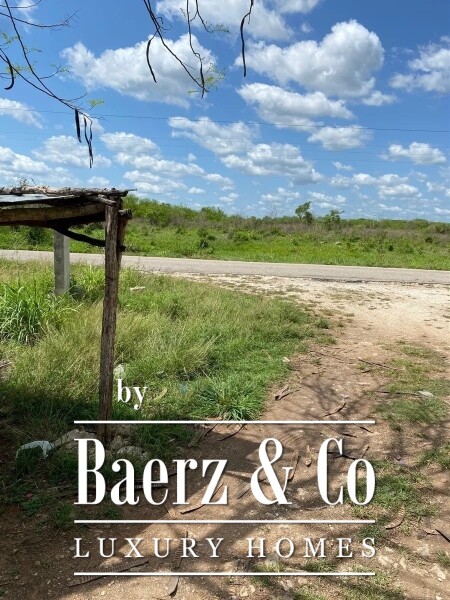 photo 24 Street 24 x 29 