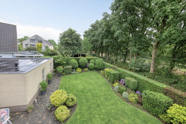 photo 52 Bilzekruid 11