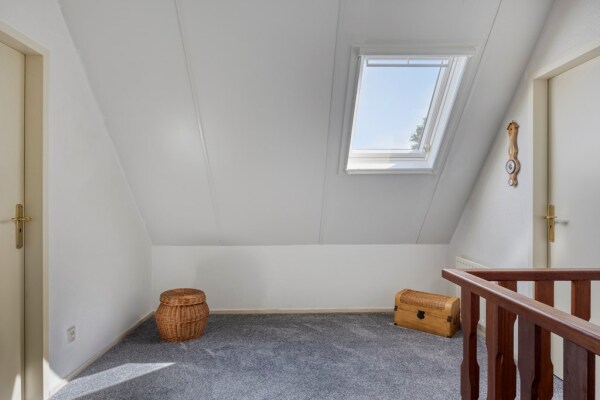 photo 31 Bilzekruid 11