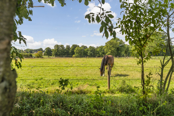 photo 2 Laagsestraat 21