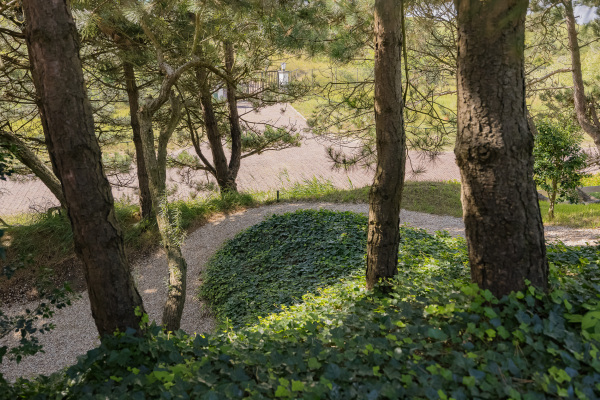 photo 77 Dennenweg 8