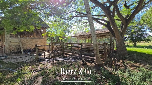 photo 31 Tablaje 3710 Rancho San Roman y Tablaje 1939 Rancho San Jose 