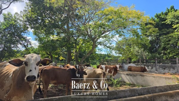 photo 33 Tablaje 3710 Rancho San Roman y Tablaje 1939 Rancho San Jose 