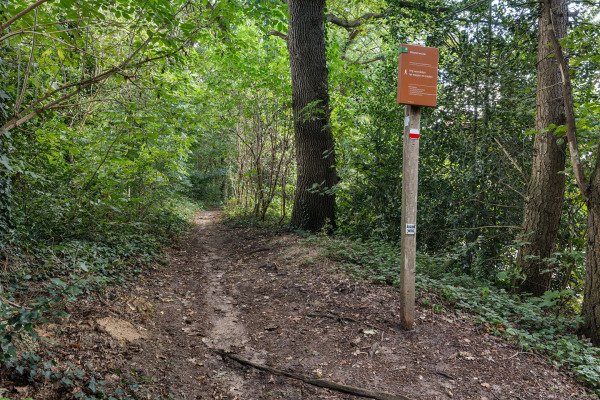 photo 46 Hanetangerweg 6