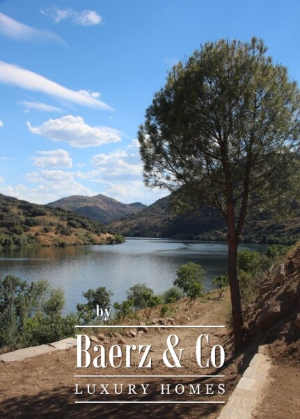 photo 10 Douro Riverfront Almond Estate