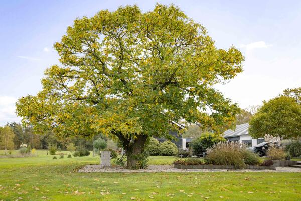 photo 18 Hardermaat 12