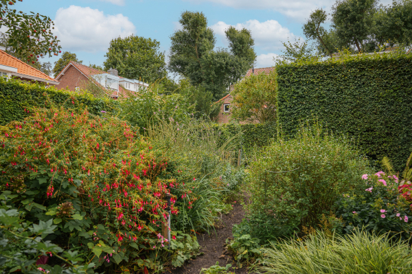 photo 57 Kamperfoeliestraat 23