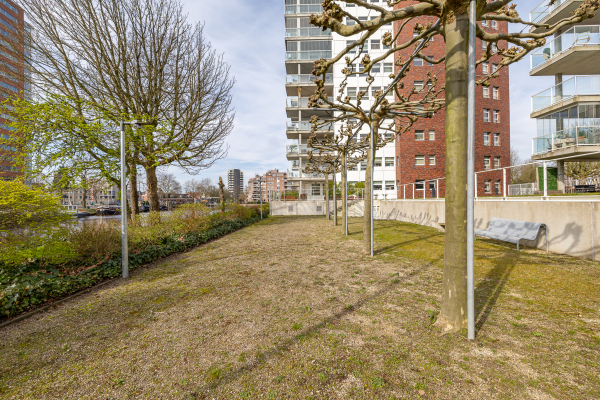 photo 58 Praediniussingel 20 24