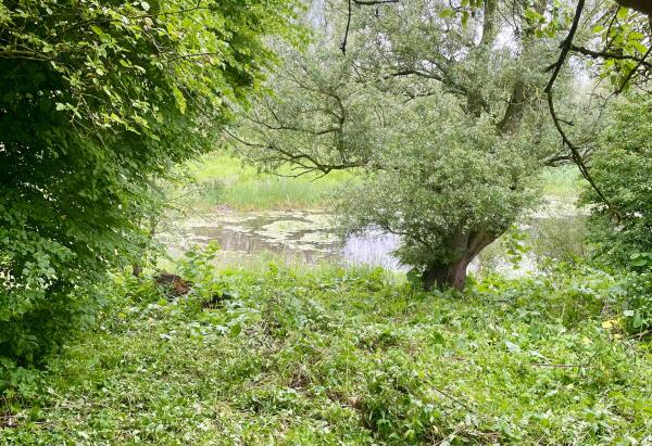 photo 8 Duffeltdijk 9