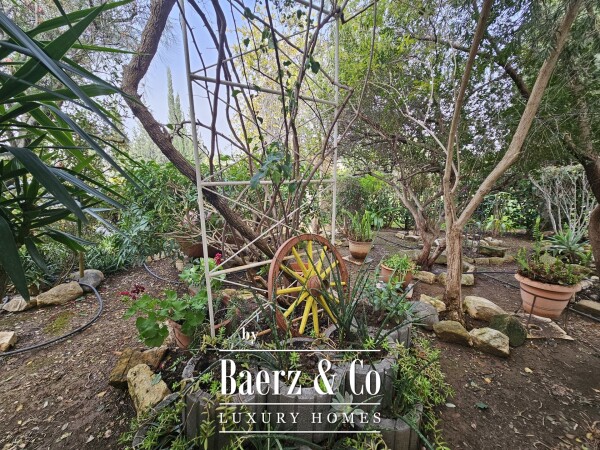 photo 30 2330609 - Villa of 460 sq.m for sale in Asgata on 18025 sq.m Land.