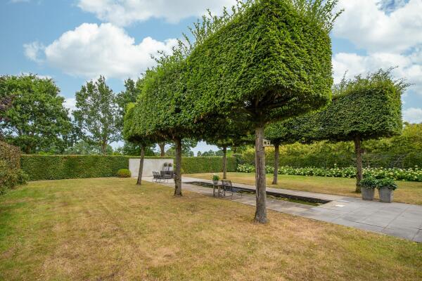 photo 36 Andromedasingel 13