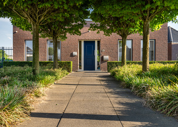 SCHIMMERT