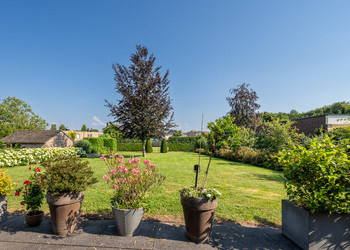 SCHIMMERT