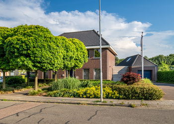 SCHIMMERT