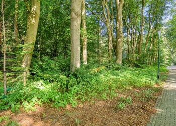 Rhenen