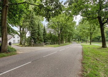 Rhenen